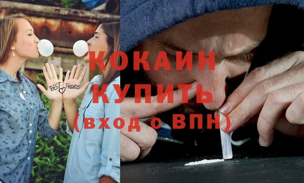 мяу мяу мука Алзамай