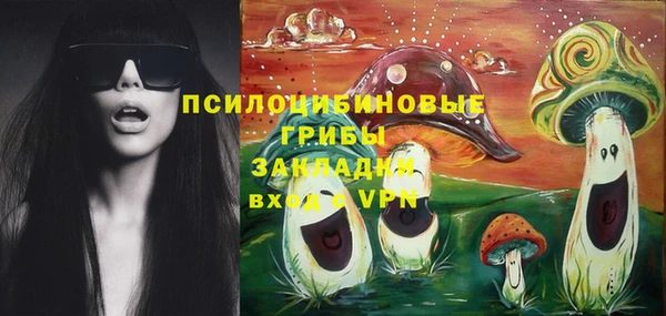 мяу мяу мука Алзамай