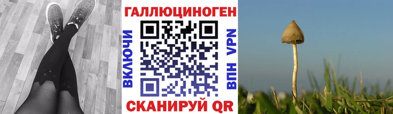 Псилоцибиновые грибы Psilocybe  OMG tor  Шуя 